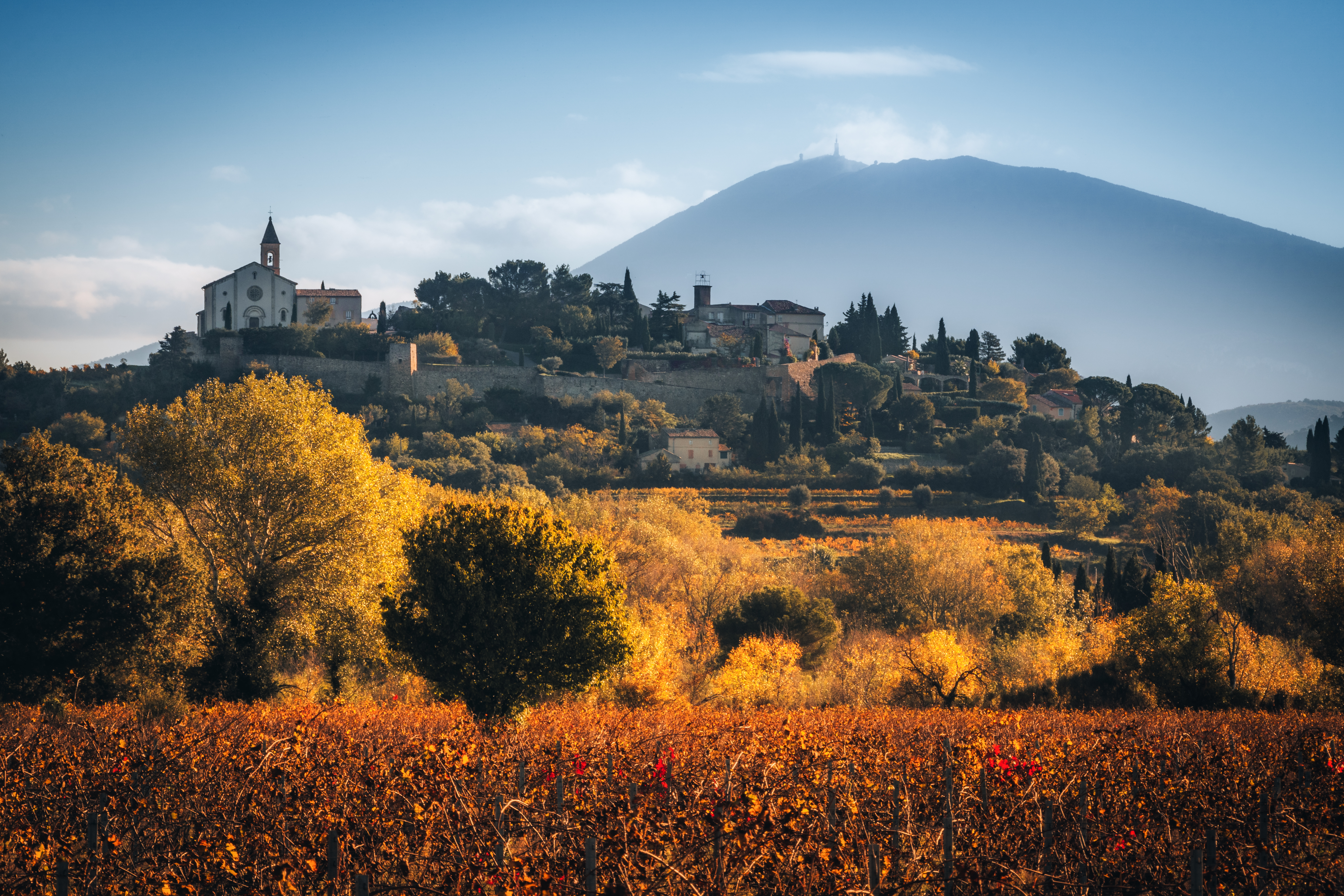 Vue sur les vignes, le village de Cairanne et le Ventoux.