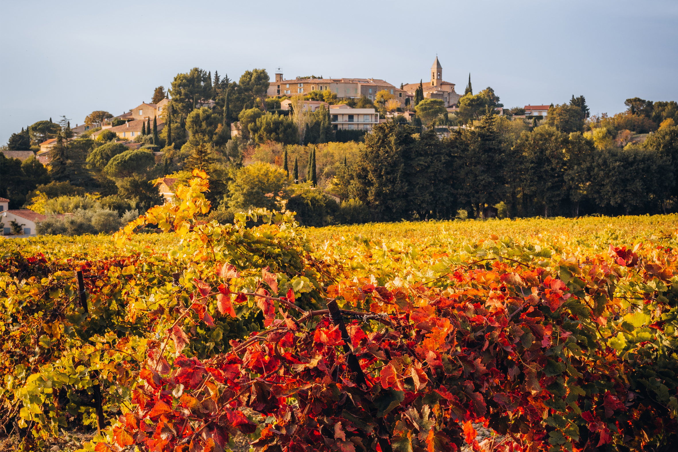 Vue globale des vignes et duvillage de Cairanne