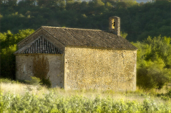 Chapelle d'Entrechaux au milieu des vignes.