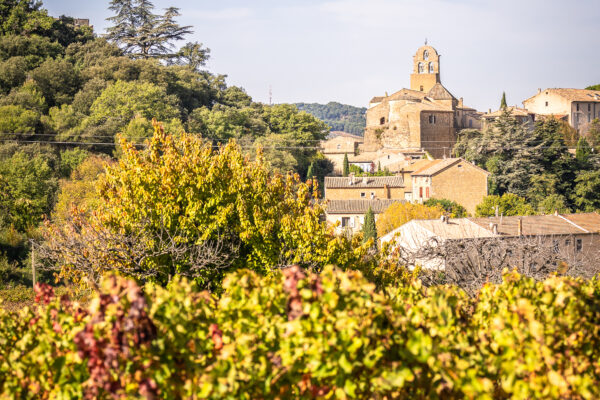 Arbres fruitiers à Puyméras au premier plan et vue sur le village au loin.