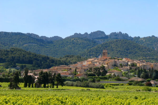 Vue printanière du village de Sablet avec vignes au premier plan et Dentelles de Montmirail au loin.