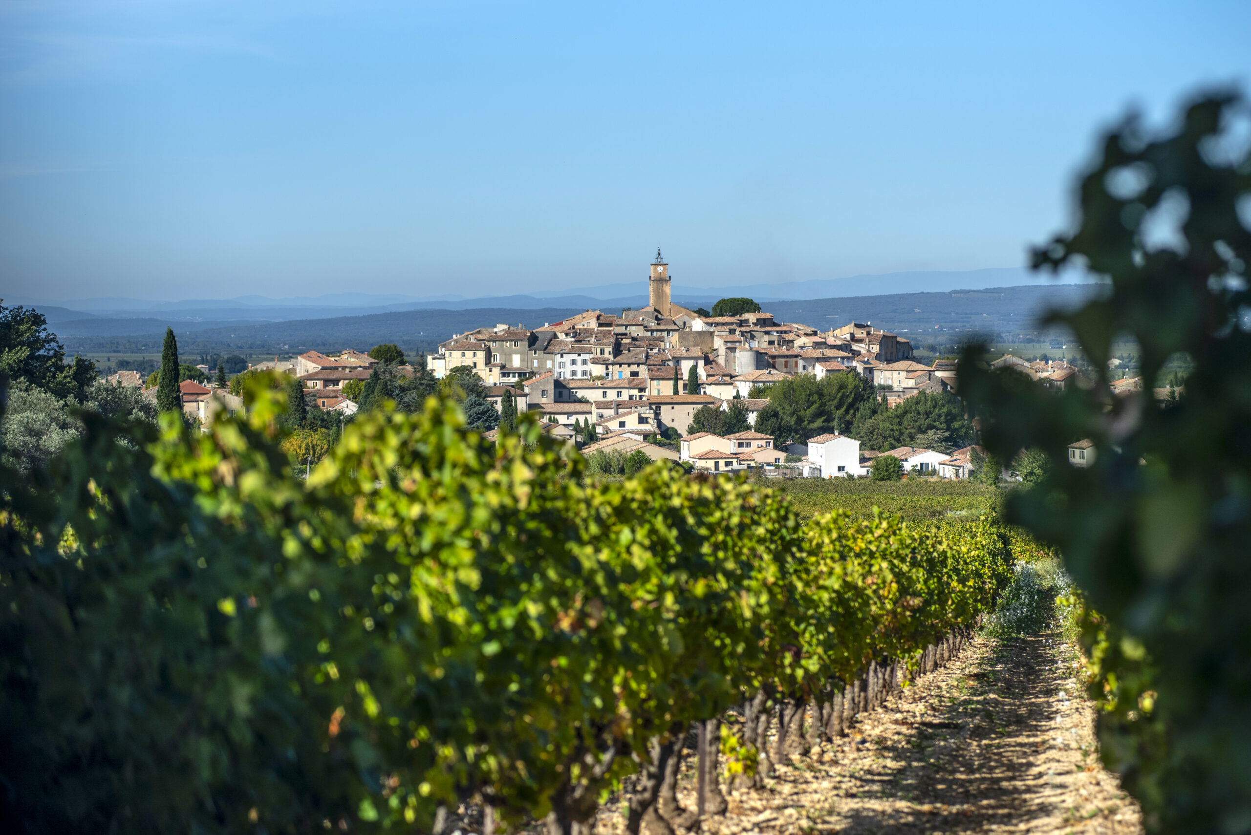 Vue de Sablet au printemps, avec rangées de vignes au premier plan.