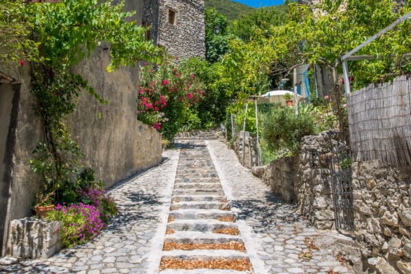 Calade avec escalier et végétation fleurie à Saint-Léger-du-Ventoux.