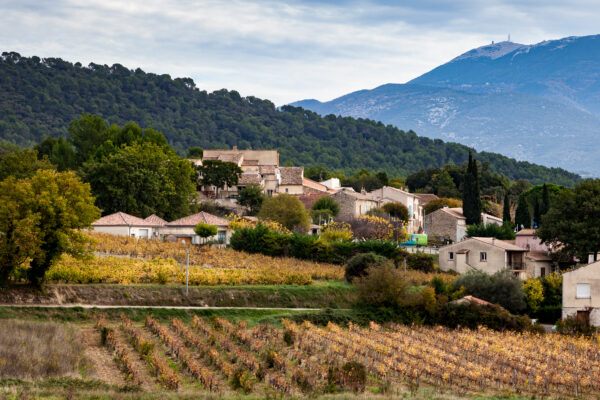 Vue du village de St-Marcellin-lès-Vaison à l'automne avec vignes au premier plan et Ventoux au loin.