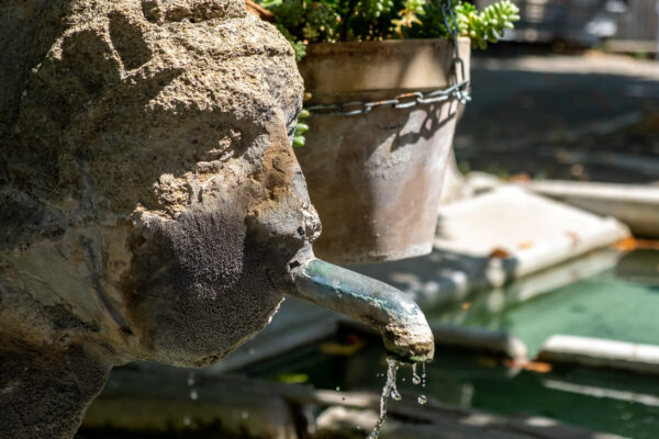 Zoom sur une tête sculptée sur la fontaine de Buisson.