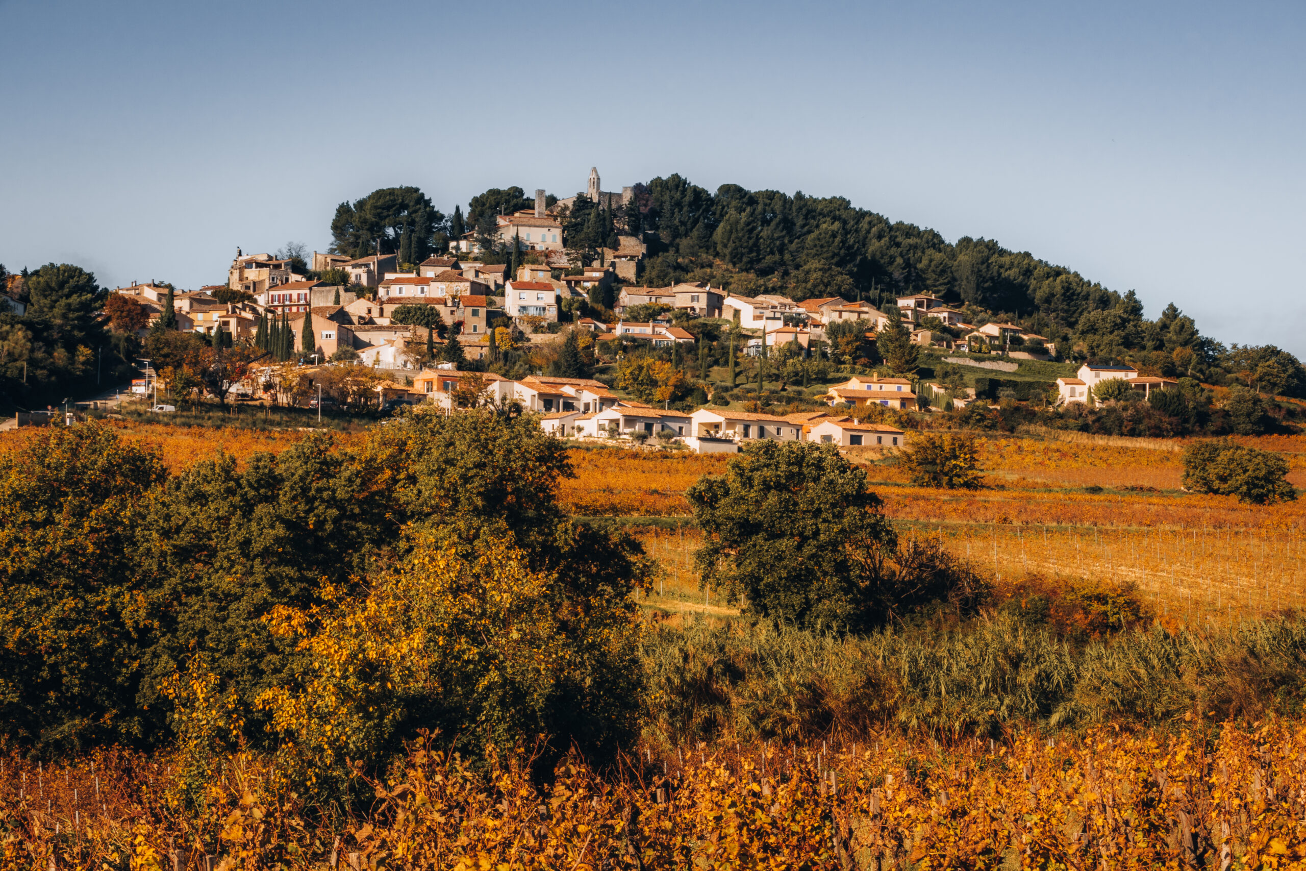 Vignes de Rasteau à l'automne et village en arrière-plan.