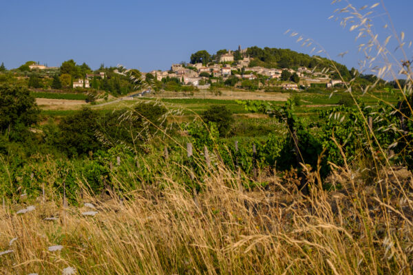 Vue éloignée de Rasteau perché sur une colline avec paysages de vignes au premier plan.