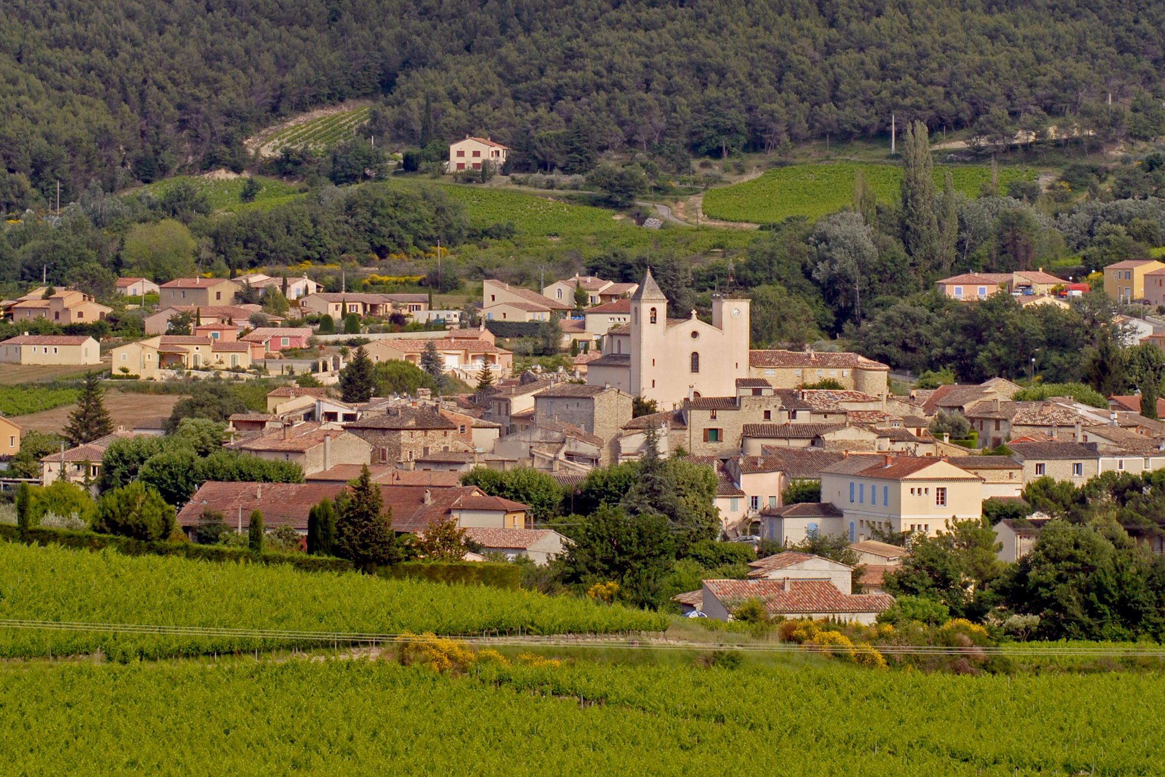 Vue éloignée de Saint-Romain-en-Viennois dans un cadre de verdure.