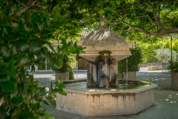 Fontaine de Saint-Roman-de-Malegarde avec végétation au premier plan.