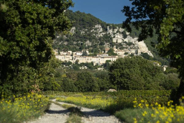 Vue lointaine du village de Séguret depuis un chemin de traverse entouré de vignes et de fleurs.