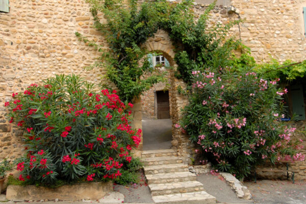 Une des entrée percée dans les remparts de Villedieu, entourée de deux massifs de fleurs.