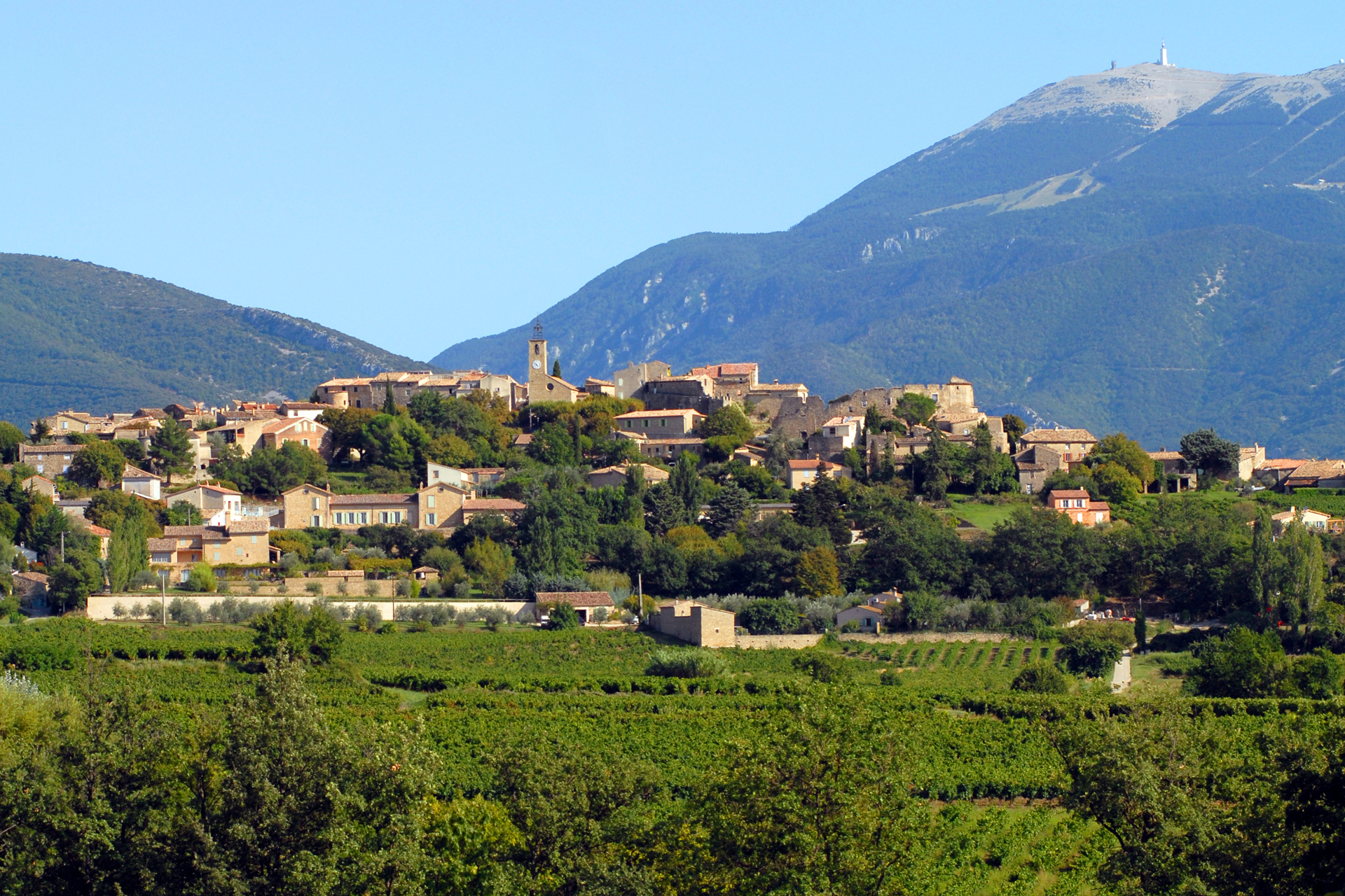 Vue éloignée de Faucon avec vignes au premier plan et Ventoux en arrière-plan.