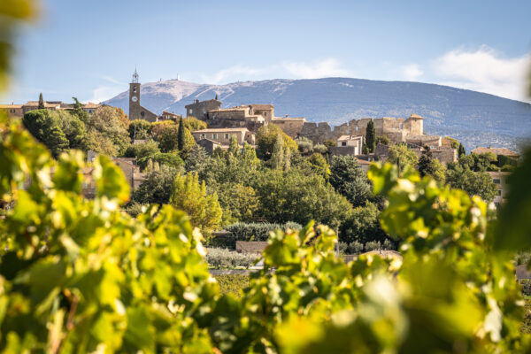 Vignes, village de Faucon et Ventoux.